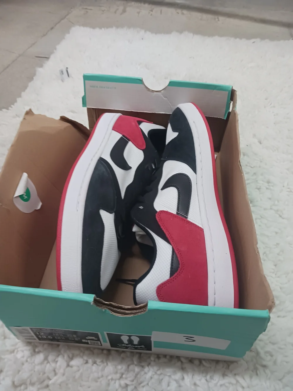 Nike Men’s Black White and Red Low-Top Skate Sneaker